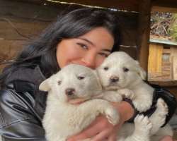 She has two cuddly dogs in her home.